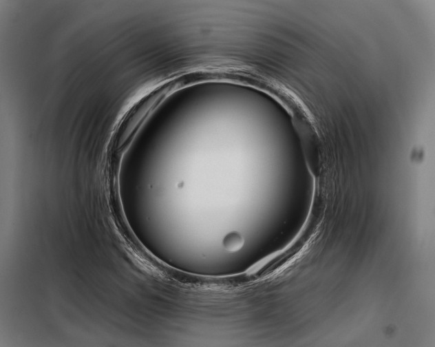 X0000098081114200804041142