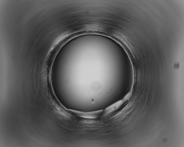 X0000098081115200804041142