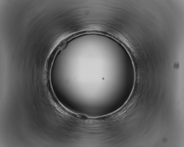 X0000098081116200804041142