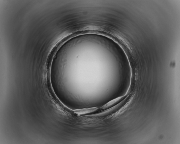 X0000098081117200804041142