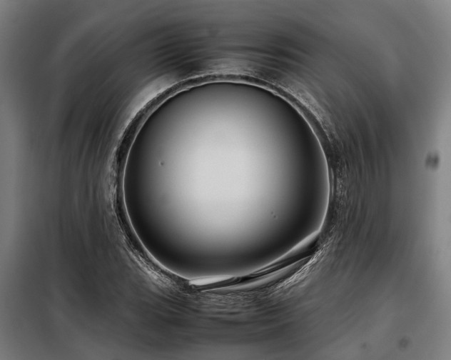 X0000098081119200804041142