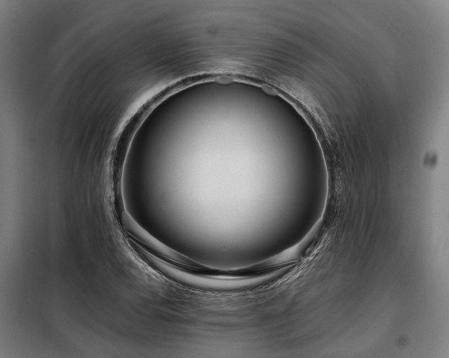 X0000098081120200804041142