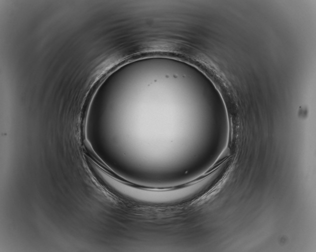 X0000098081121200804041142
