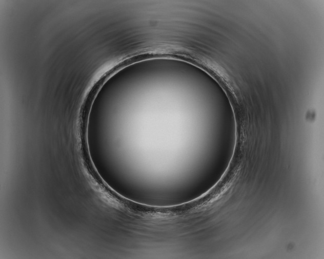 X0000098081122200804041142