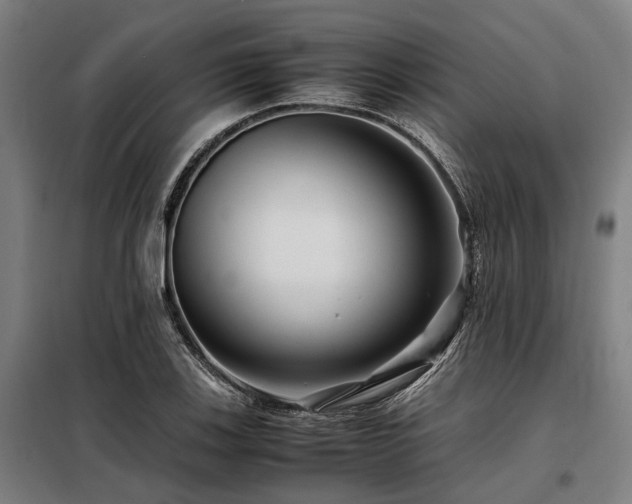 X0000098081123200804041142