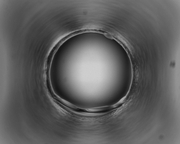 X0000098081124200804041142