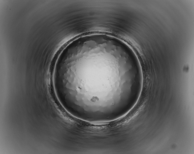 X0000098081125200804041142