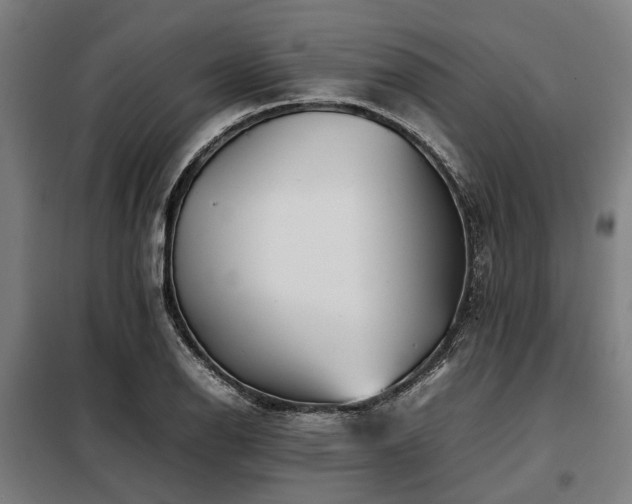 X0000098081126200804041142