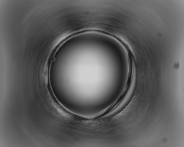 X0000098081127200804041142