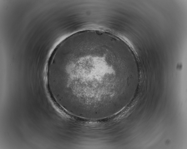 X0000098081128200804041142