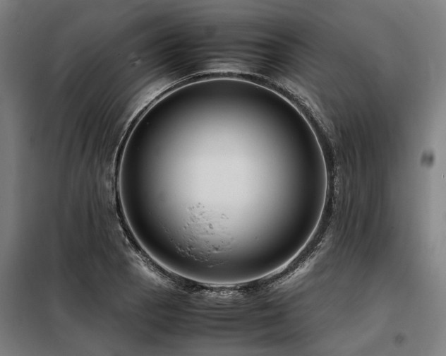 X0000098081129200804041142
