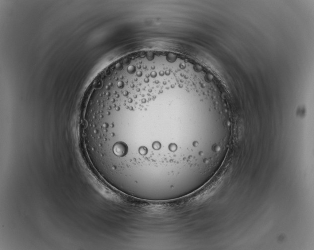 X0000098081130200804041142