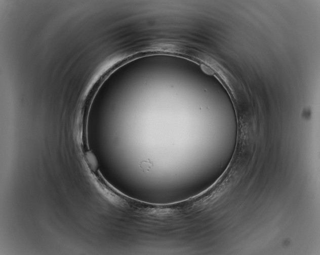 X0000098081131200804041142