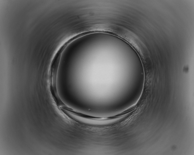 X0000098081132200804041142