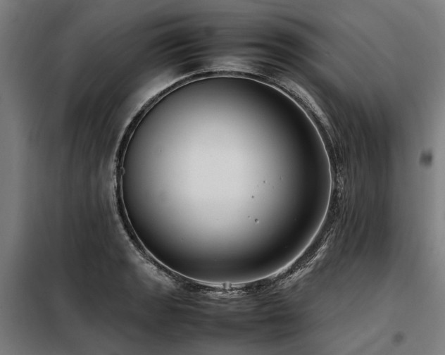 X0000098081133200804041142