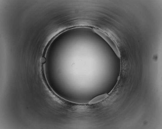 X0000098081134200804041142