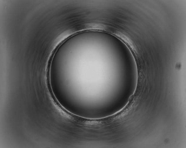 X0000098081135200804041142