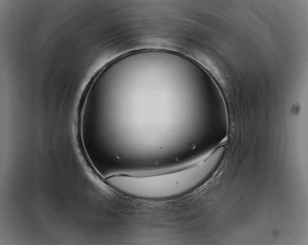 X0000098081136200804041142