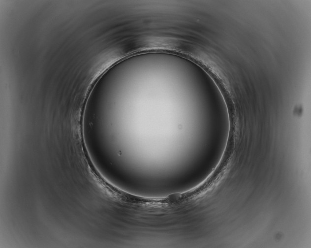X0000098081137200804041142
