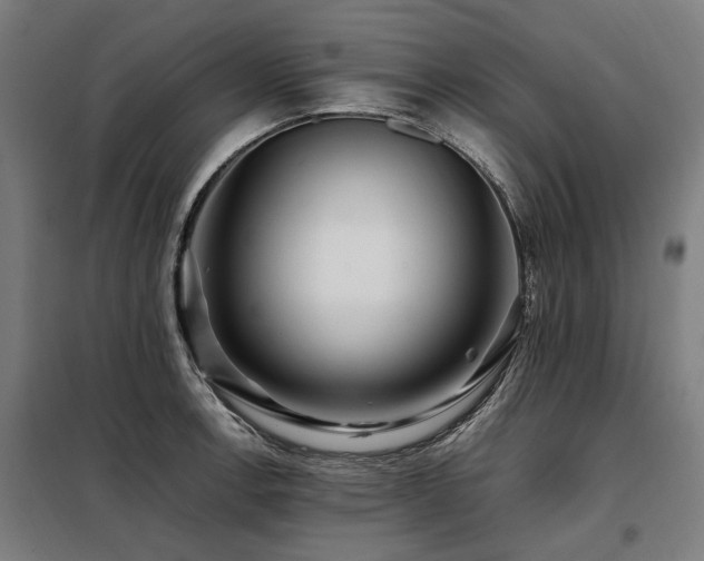 X0000098081138200804041142