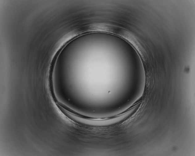X0000098081139200804041143