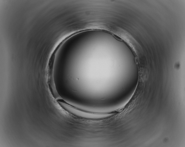X0000098081140200804041143