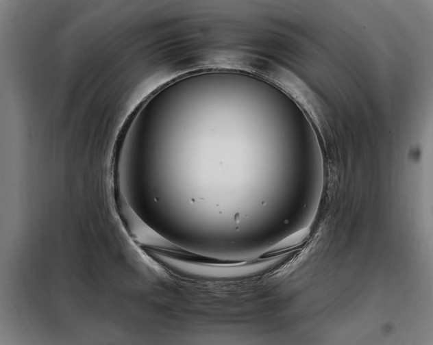 X0000098081141200804041143