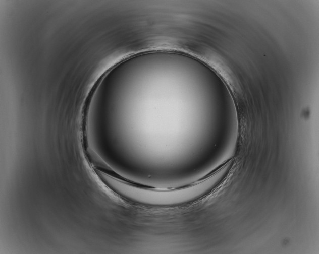 X0000098081142200804041143