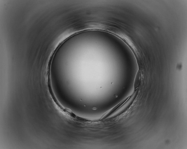 X0000098081143200804041143