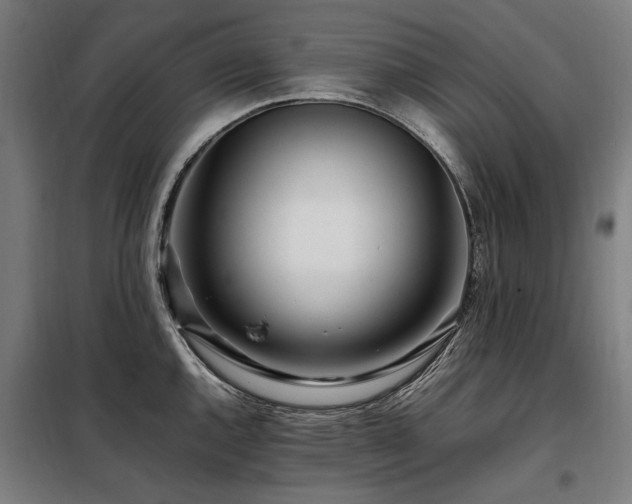 X0000098081144200804041143