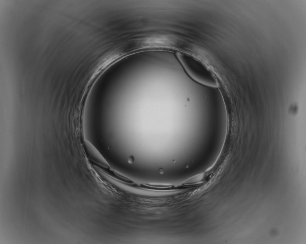 X0000098081145200804041143