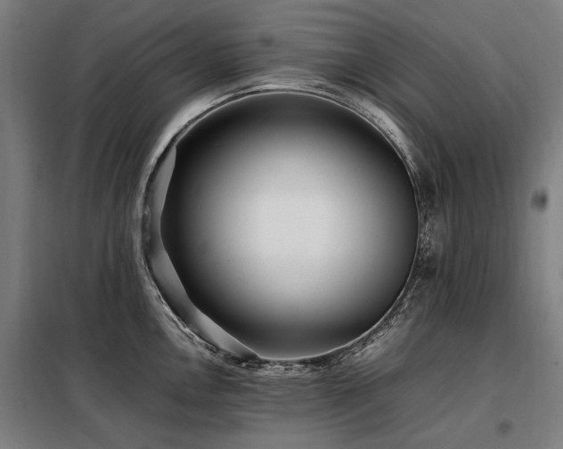 X0000098081146200804041143