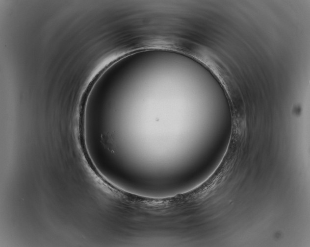 X0000098081147200804041143
