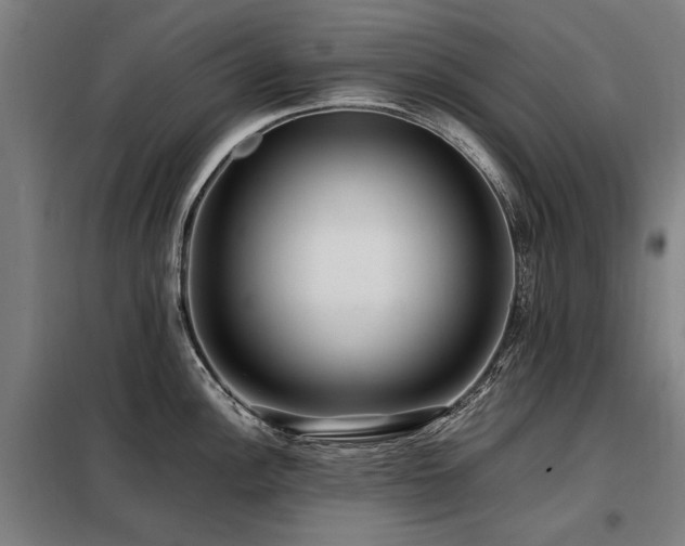 X0000098081148200804041143