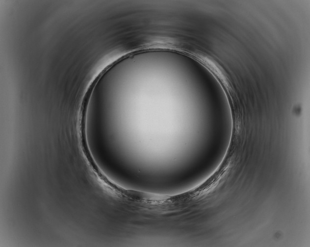 X0000098081149200804041143
