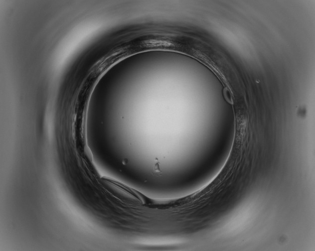 X0000098081151200804041143
