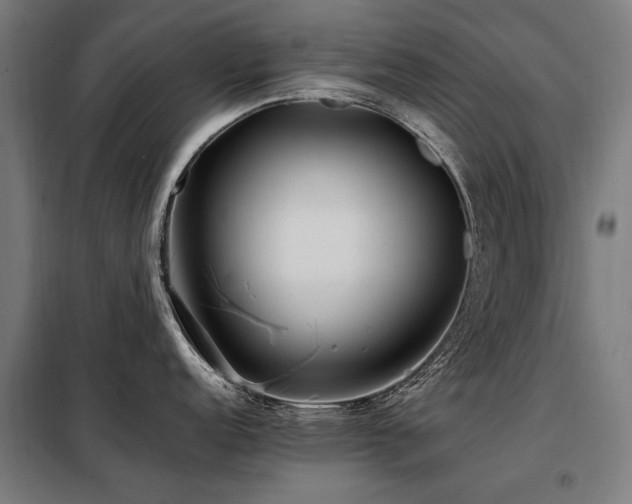 X0000098081152200804041143
