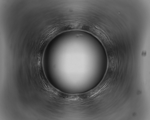 X0000098081154200804041142