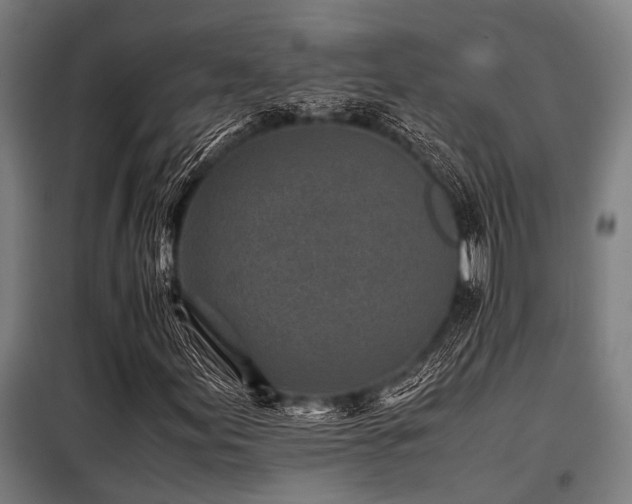 X0000098081155200804041142