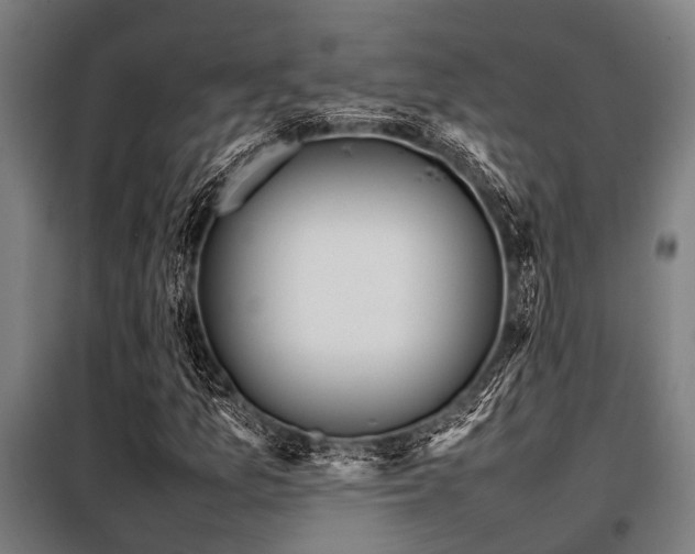 X0000098081157200804041142
