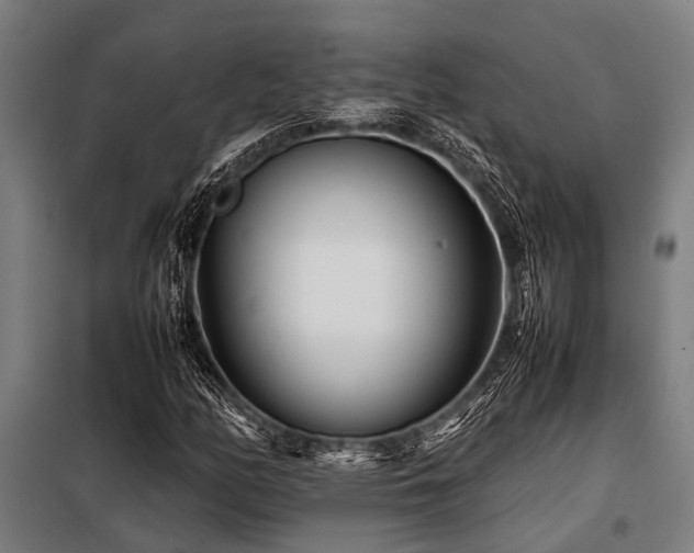 X0000098081158200804041142