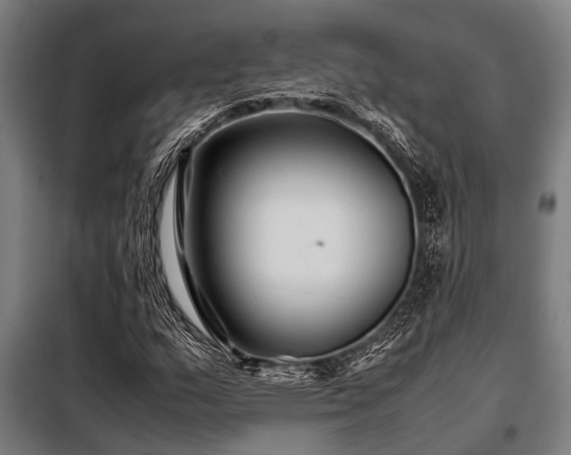 X0000098081159200804041142
