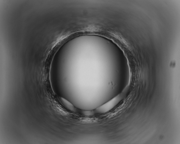 X0000098081160200804041142