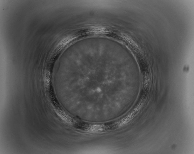 X0000098081161200804041142