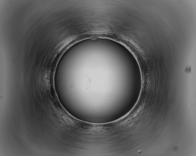 X0000098081162200804041142