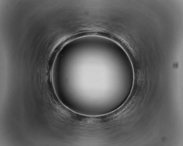 X0000098081163200804041142
