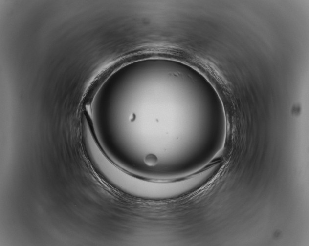 X0000098081164200804041142