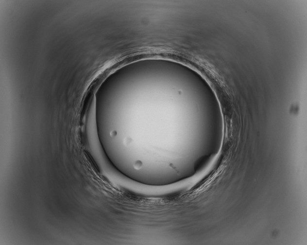 X0000098081165200804041142