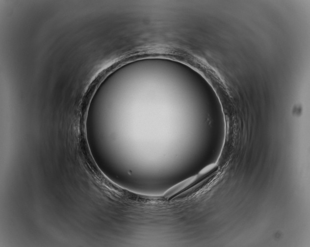 X0000098081166200804041142