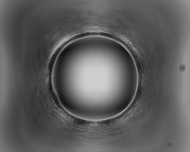 X0000098081167200804041142
